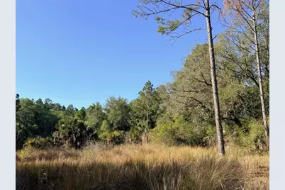 6650 NW 110th Avenue, Chiefland, FL 32626 - Photo 2