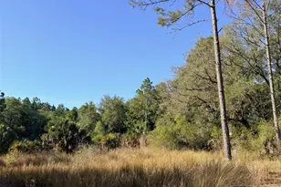 6650 NW 110 Ave, Chiefland, FL 32626 - Photo 2