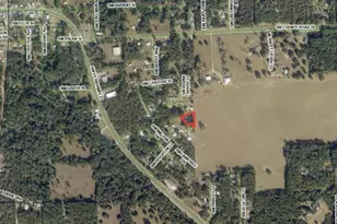 300 SW Brighton Ct, Fort White, FL 32038 - Photo 32