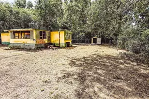 6713 SW 54th Ave, Gainesville, FL 32608 - Photo 2