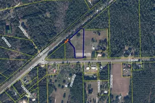 NE State Road 16, Raiford, FL 32083 - Photo 1