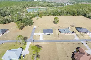 151 SW Scott Pl, Lake City, FL 32024 - Photo 46