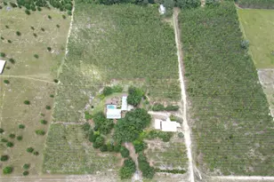 272 NE County Rd 337, Trenton, FL 32693 - Photo 6