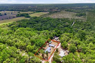 9764 NW 56th Ln, Chiefland, FL 32626 - Photo 20