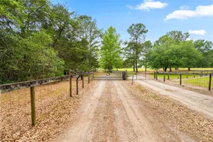 8822 NW 170th St, Alachua, FL 32615 - Photo 6