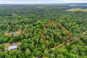 7621 NE 108th Ave, Gainesville, FL 32609 - Photo 4