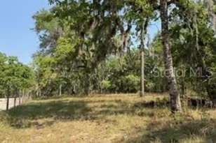 4760 NW 55th Ave, Bell, FL 32619 - Photo 30