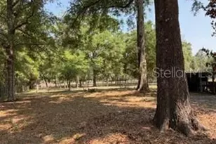 4760 NW 55th Ave, Bell, FL 32619 - Photo 6