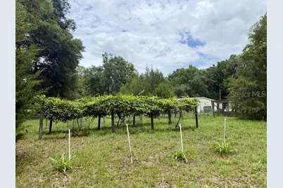 4760 NW 55th Avenue, Bell, FL 32619 - Photo 44