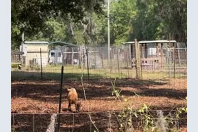 4760 NW 55th Avenue, Bell, FL 32619 - Photo 40