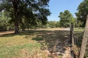 4760 NW 55th Ave, Bell, FL 32619 - Photo 26