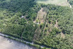 159 SW 70th Ave, Bell, FL 32619 - Photo 40