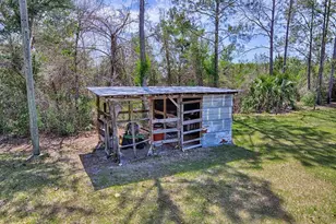10250 NW 67th Pl, Chiefland, FL 32626 - Photo 50