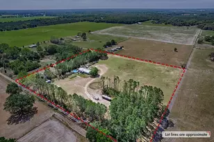 10250 NW 67th Pl, Chiefland, FL 32626 - Photo 58