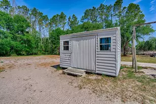 10250 NW 67th Pl, Chiefland, FL 32626 - Photo 48
