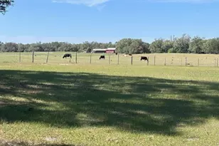 10250 NW 67th Pl, Chiefland, FL 32626 - Photo 34