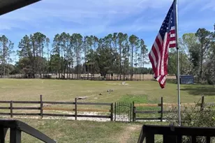 10250 NW 67th Pl, Chiefland, FL 32626 - Photo 28