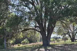10250 NW 67th Pl, Chiefland, FL 32626 - Photo 40