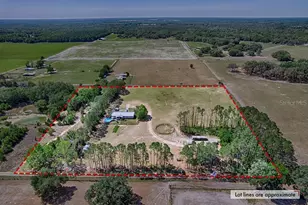 10250 NW 67th Pl, Chiefland, FL 32626 - Photo 60