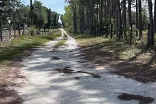 10250 NW 67th Pl, Chiefland, FL 32626 - Photo 54