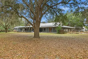 24026 NW 126th Ln, Alachua, FL 32615 - Photo 54