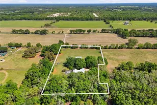 24026 NW 126th Ln, Alachua, FL 32615 - Photo 8