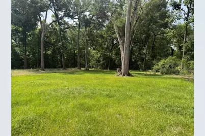 Tbd 292nd St, Branford, FL 32008 - Photo 6