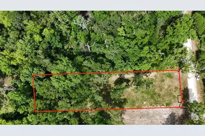 Tbd 292nd St, Branford, FL 32008 - Photo 2