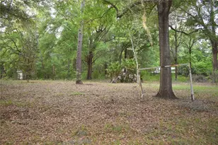 8231 NE 111th St, Bronson, FL 32621 - Photo 18