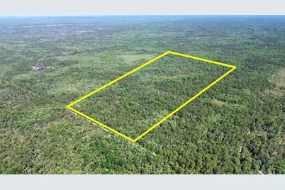 Tract 100 SW Cr-347, Chiefland, FL 32644 - Photo 1