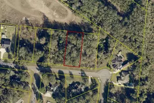 525 SW Heathridge Dr, Lake City, FL 32024 - Photo 24