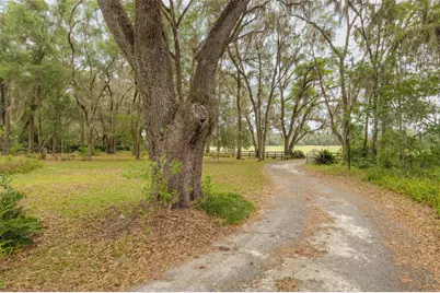 818 NW 202nd Street, Newberry, FL 32669 - Photo 8