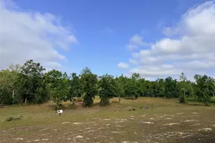 10730 198th Terrace, O'Brien, FL 32071 - Photo 4
