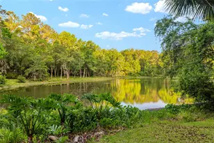 9417 NW 59 Ln, Gainesville, FL 32653 - Photo 84