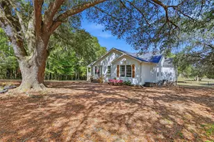 22130 NW 75th Ave Rd, Micanopy, FL 32667 - Photo 6