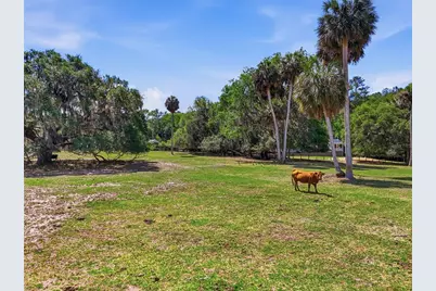 22130 NW 75th Avenue Road, Micanopy, FL 32667 - Photo 38