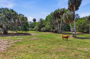 22130 NW 75th Ave Rd, Micanopy, FL 32667 - Photo 38
