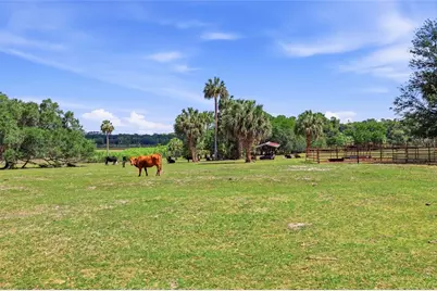 22130 NW 75th Avenue Road, Micanopy, FL 32667 - Photo 36