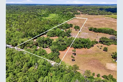 22130 NW 75th Avenue Road, Micanopy, FL 32667 - Photo 48