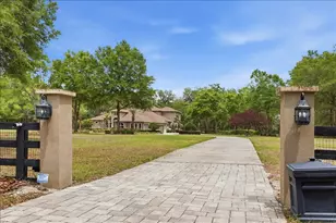 7369 NW 187 Terrace, Alachua, FL 32615 - Photo 62