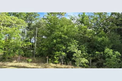 9351 NW 120th Street, Chiefland, FL 32626 - Photo 2