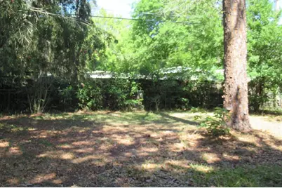 3004 NE 10th Drive, Gainesville, FL 32609 - Photo 8
