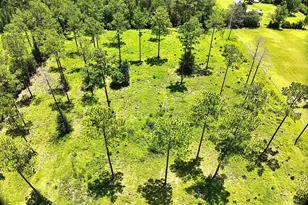 14421 NW 214th Terrace, High Springs, FL 32643 - Photo 34