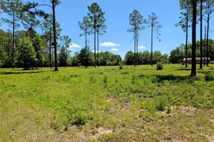 14421 NW 214th Terrace, High Springs, FL 32643 - Photo 42