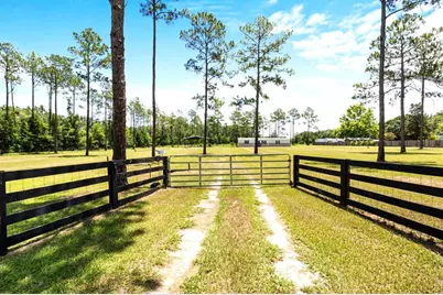 14421 NW 214th Terrace, High Springs, FL 32643 - Photo 4