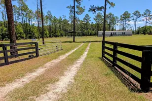14421 NW 214th Terrace, High Springs, FL 32643 - Photo 4