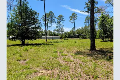 14421 NW 214th Terrace, High Springs, FL 32643 - Photo 44