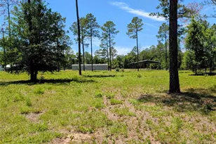 14421 NW 214th Terrace, High Springs, FL 32643 - Photo 44