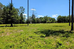 14421 NW 214th Terrace, High Springs, FL 32643 - Photo 46