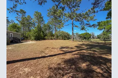 4497 NE 142nd Avenue, Williston, FL 32696 - Photo 8